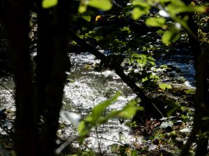 image097